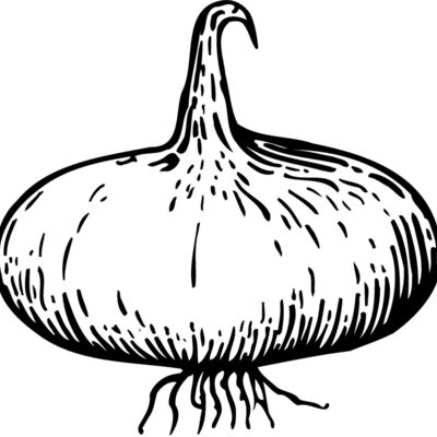 VEG004 Thumbnail