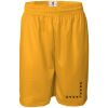 Men's Pro Mesh 9" Shorts Thumbnail