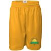 Men's Pro Mesh 9" Shorts Thumbnail