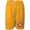 Men's Pro Mesh 9" Shorts Thumbnail