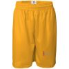 Men's Pro Mesh 9" Shorts Thumbnail