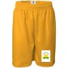 Men's Pro Mesh 9" Shorts Thumbnail