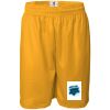 Men's Pro Mesh 9" Shorts Thumbnail