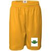 Men's Pro Mesh 9" Shorts Thumbnail