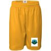 Men's Pro Mesh 9" Shorts Thumbnail
