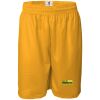 Men's Pro Mesh 9" Shorts Thumbnail