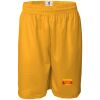 Men's Pro Mesh 9" Shorts Thumbnail