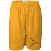 Men's Pro Mesh 9" Shorts Thumbnail