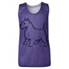 Youth Pro Mesh Reversible Tank Top Thumbnail