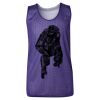 Youth Pro Mesh Reversible Tank Top Thumbnail