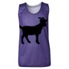 Youth Pro Mesh Reversible Tank Top Thumbnail