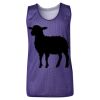 Youth Pro Mesh Reversible Tank Top Thumbnail
